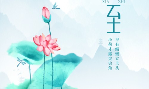 凤仙花种子怎么传播-凤仙花的种子药用网 - 网站提供凤仙花种子的种植方法小常识、凤仙花传播种子的方式是